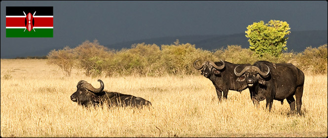 Kenya
