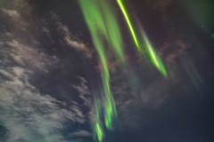 Location: Tromsø airport area, North Norway