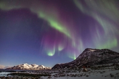 Location: Grøtfjorden, Kvaløya, North Norway