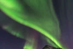 Location: Grøtfjorden, Kvaløya, North Norway