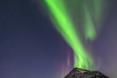 Location: Grøtfjorden, Kvaløya, North Norway