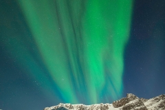 Location: Grøtfjorden, Kvaløya, North Norway