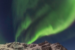 Location: Grøtfjorden, Kvaløya, North Norway